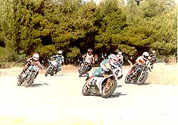 ����� ���� 1981